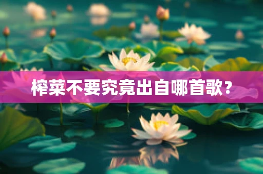 榨菜不要究竟出自哪首歌？