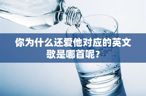 你为什么还爱他对应的英文歌是哪首呢？