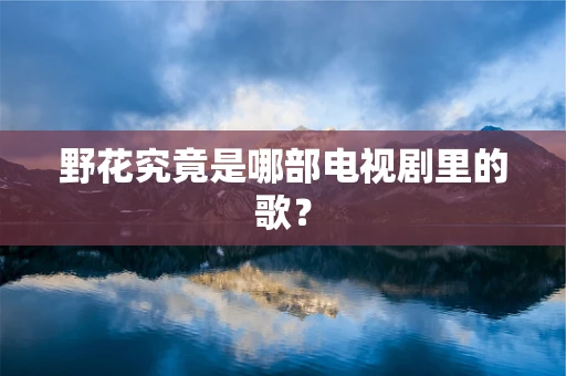 野花究竟是哪部电视剧里的歌？
