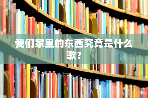 我们家里的东西究竟是什么歌？