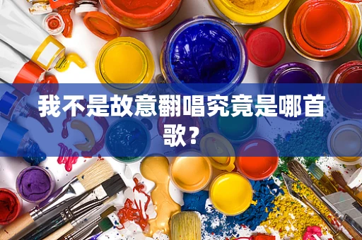 我不是故意翻唱究竟是哪首歌？