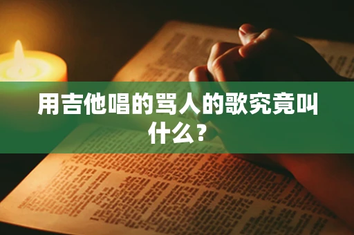 用吉他唱的骂人的歌究竟叫什么？