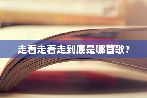 走着走着走到底是哪首歌？