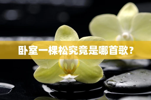 卧室一棵松究竟是哪首歌？