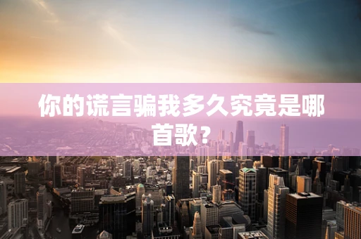 你的谎言骗我多久究竟是哪首歌？