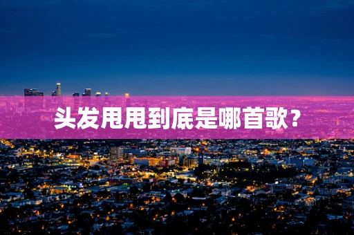 头发甩甩到底是哪首歌？