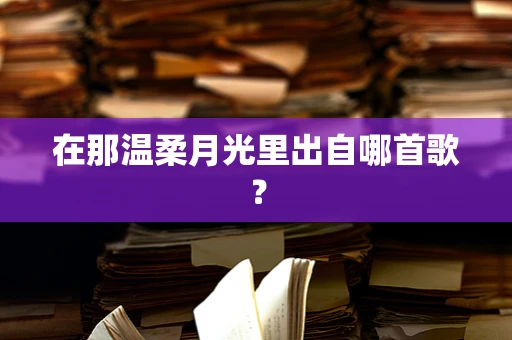 在那温柔月光里出自哪首歌？