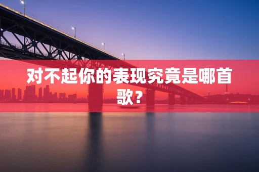 对不起你的表现究竟是哪首歌？