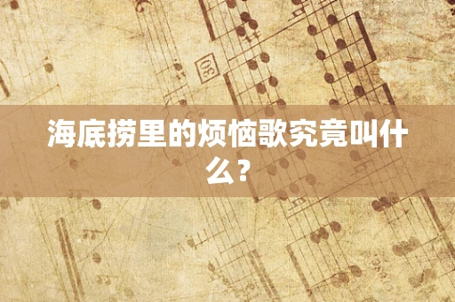 海底捞里的烦恼歌究竟叫什么？