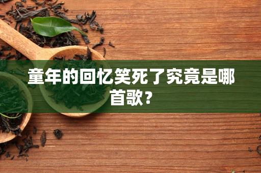 童年的回忆笑死了究竟是哪首歌？