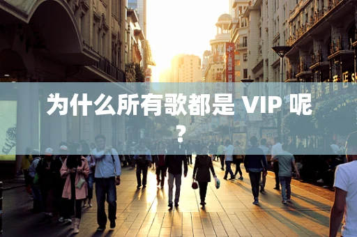 为什么所有歌都是 VIP 呢？