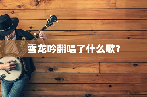 雪龙吟翻唱了什么歌？