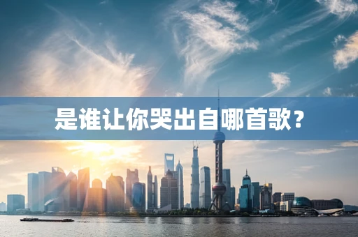 是谁让你哭出自哪首歌？