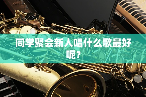 同学聚会新人唱什么歌最好呢？
