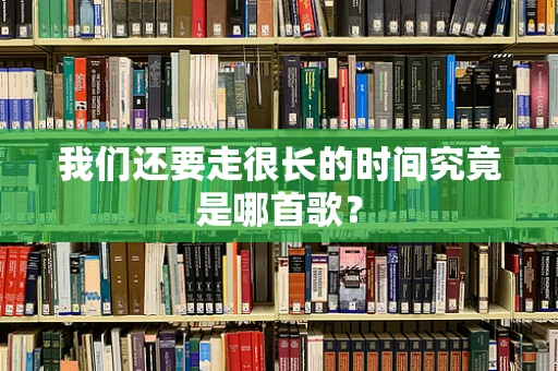 我们还要走很长的时间究竟是哪首歌？