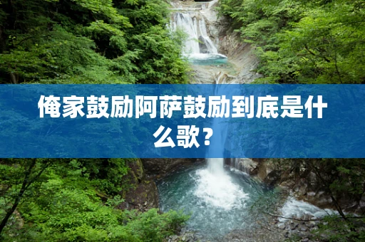 俺家鼓励阿萨鼓励到底是什么歌？