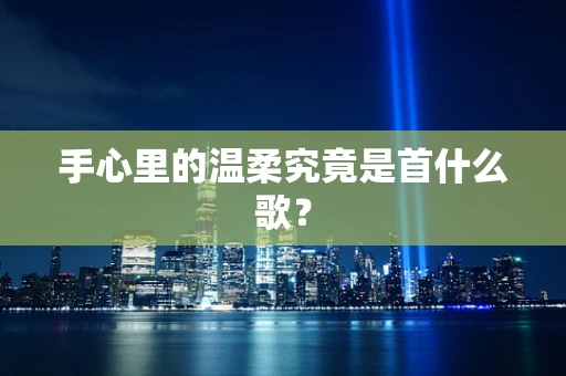 手心里的温柔究竟是首什么歌？