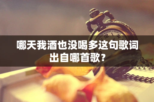 哪天我酒也没喝多这句歌词出自哪首歌？