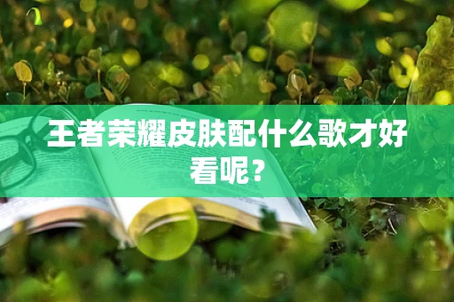 王者荣耀皮肤配什么歌才好看呢？