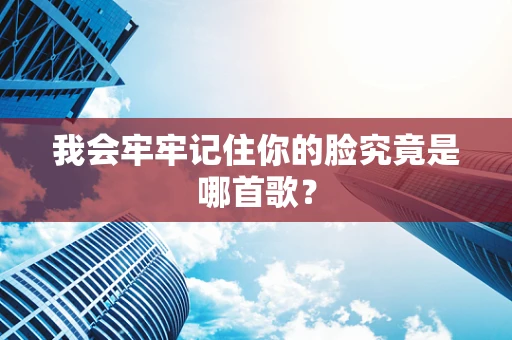 我会牢牢记住你的脸究竟是哪首歌？