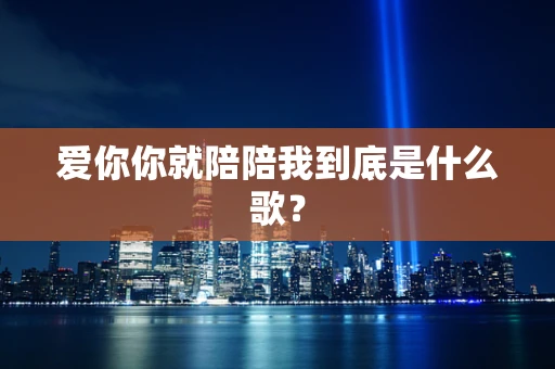 爱你你就陪陪我到底是什么歌？