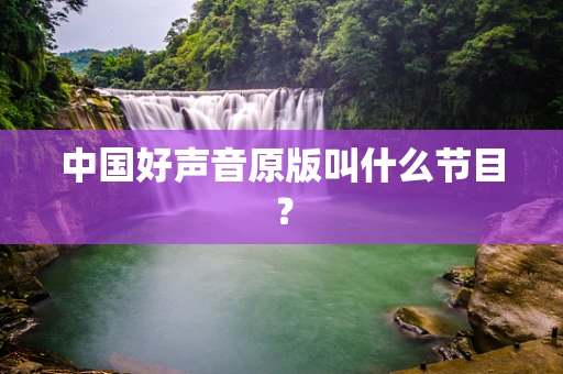 中国好声音原版叫什么节目？