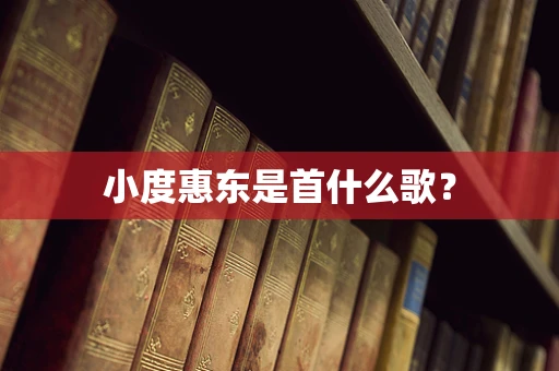 小度惠东是首什么歌？