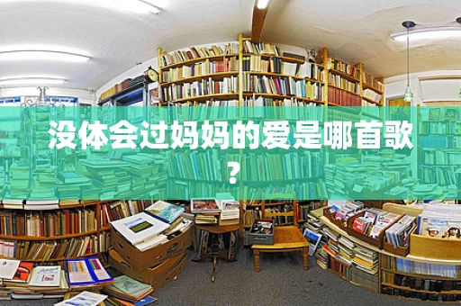 没体会过妈妈的爱是哪首歌？