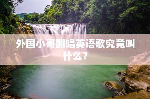外国小哥翻唱英语歌究竟叫什么？