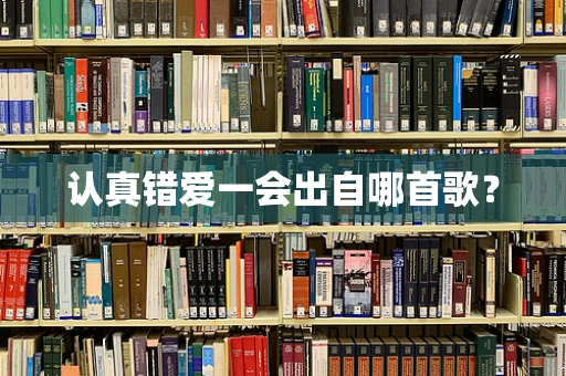 认真错爱一会出自哪首歌？