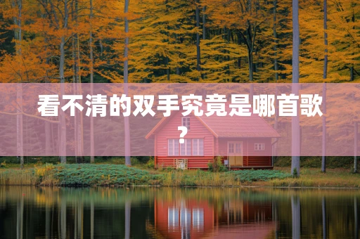 看不清的双手究竟是哪首歌？