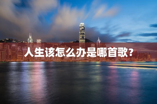 人生该怎么办是哪首歌？
