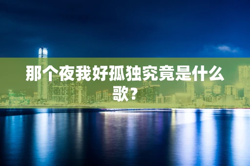那个夜我好孤独究竟是什么歌？