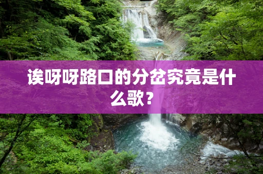 诶呀呀路口的分岔究竟是什么歌？