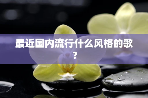 最近国内流行什么风格的歌？