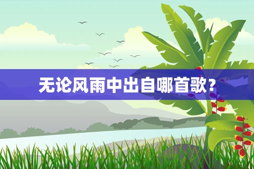 无论风雨中出自哪首歌？