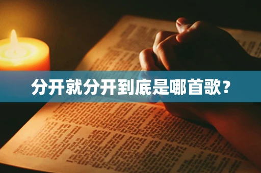 分开就分开到底是哪首歌？