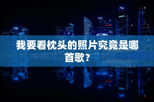 我要看枕头的照片究竟是哪首歌？