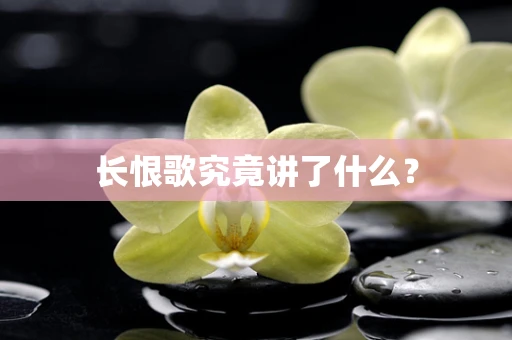 长恨歌究竟讲了什么？