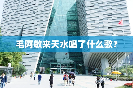 毛阿敏来天水唱了什么歌？