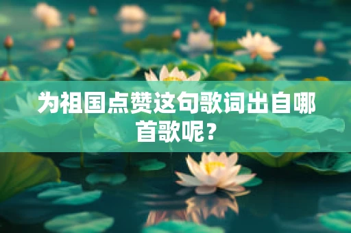 为祖国点赞这句歌词出自哪首歌呢？