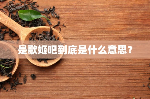 是歌姬吧到底是什么意思？