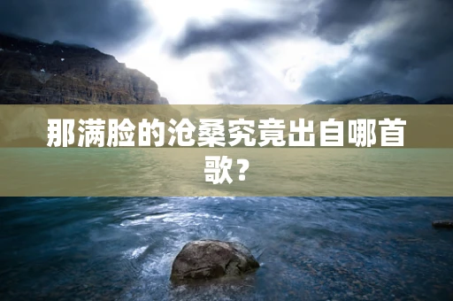 那满脸的沧桑究竟出自哪首歌？