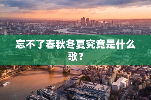 忘不了春秋冬夏究竟是什么歌？
