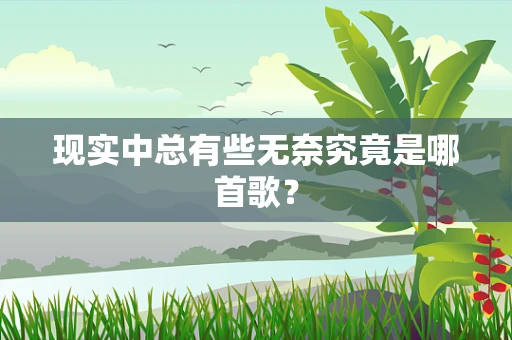 现实中总有些无奈究竟是哪首歌？