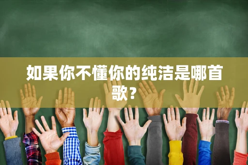 如果你不懂你的纯洁是哪首歌？