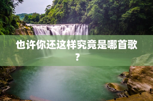 也许你还这样究竟是哪首歌？