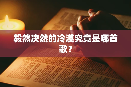 毅然决然的冷漠究竟是哪首歌？