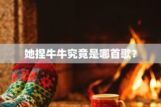 她捏牛牛究竟是哪首歌？