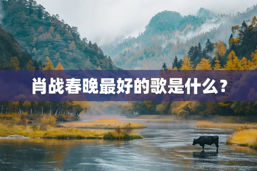 肖战春晚最好的歌是什么？
